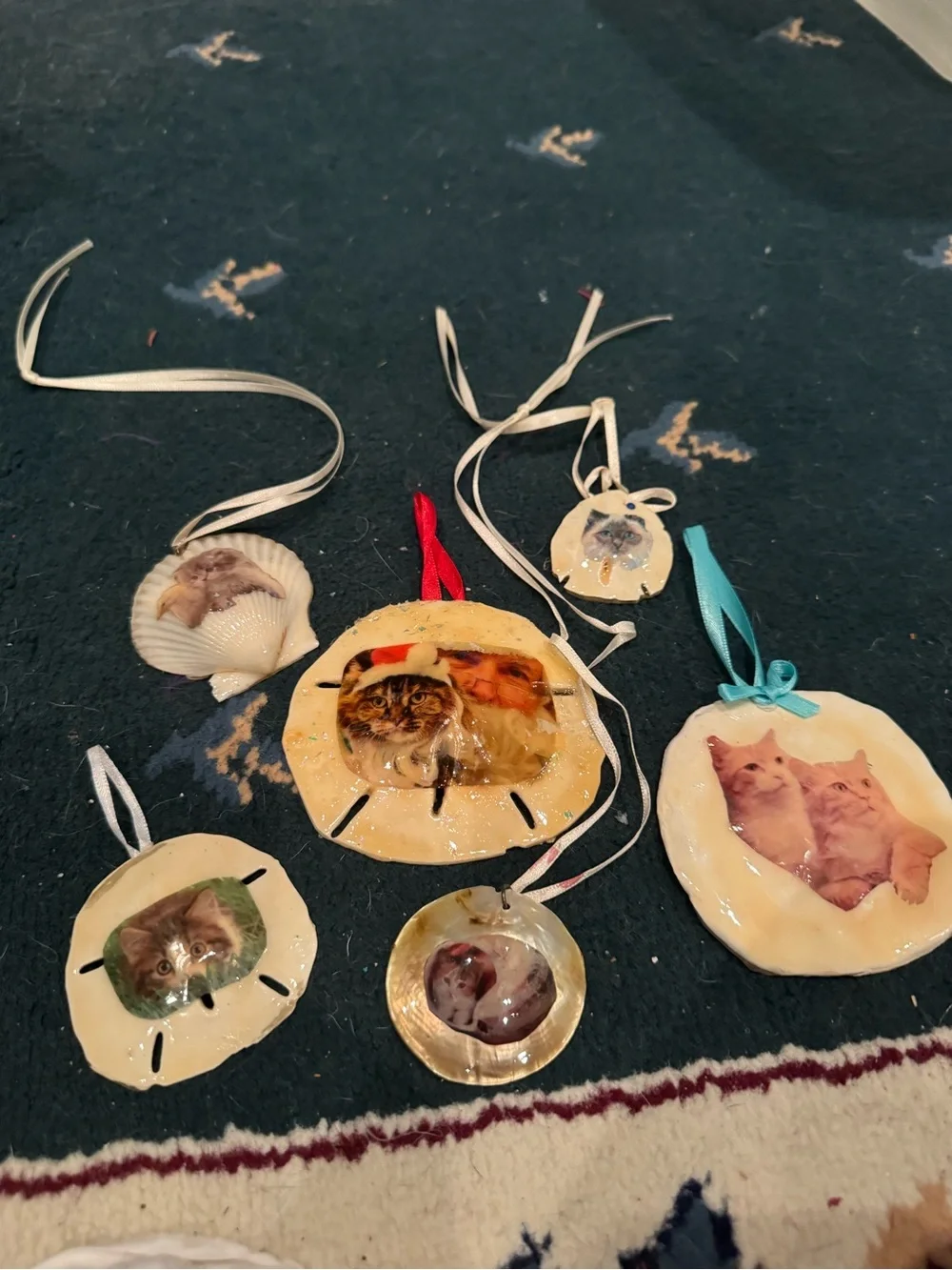 Handmade Cat Photo Ornaments sand dollars real shell- Assorted Cream, White, Tan